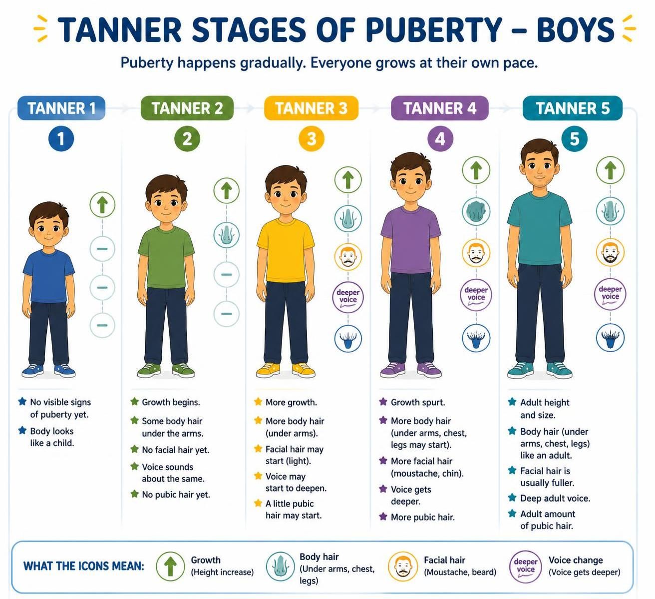tanner 3